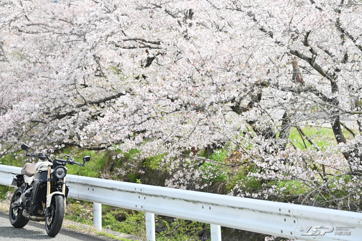 ゴールデンウィーク前にご納車できます！